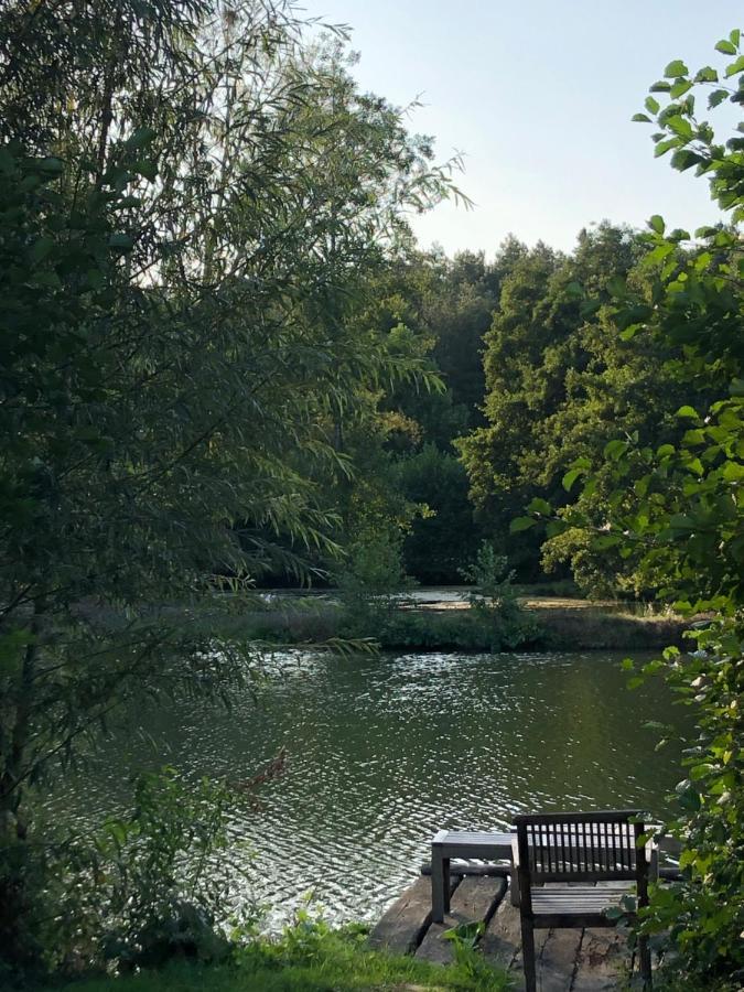 مبيت وإفطار Loigné-sur-Mayenne La Francoisiere المظهر الخارجي الصورة