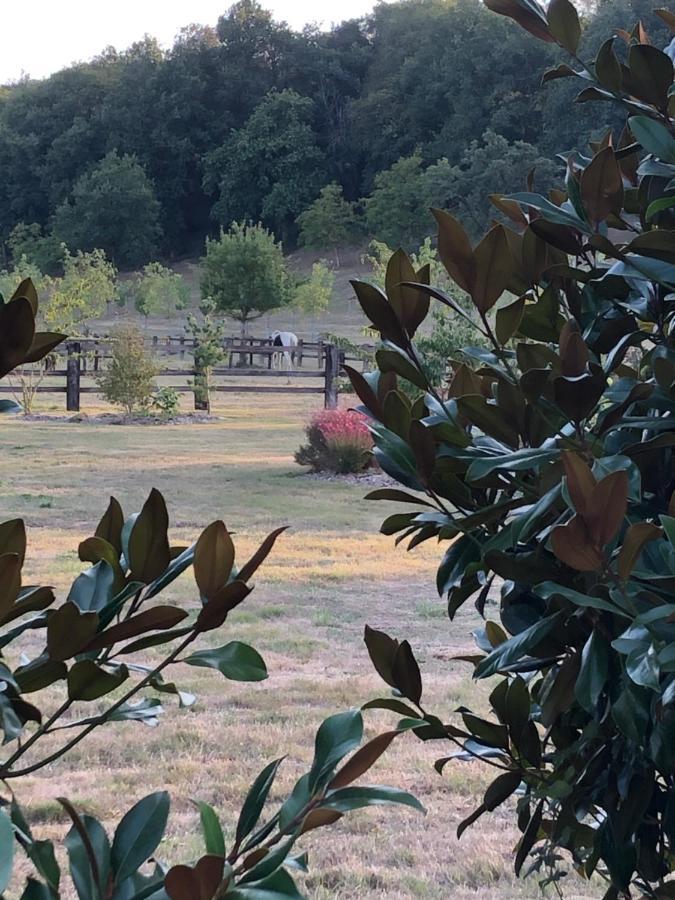مبيت وإفطار Loigné-sur-Mayenne La Francoisiere المظهر الخارجي الصورة