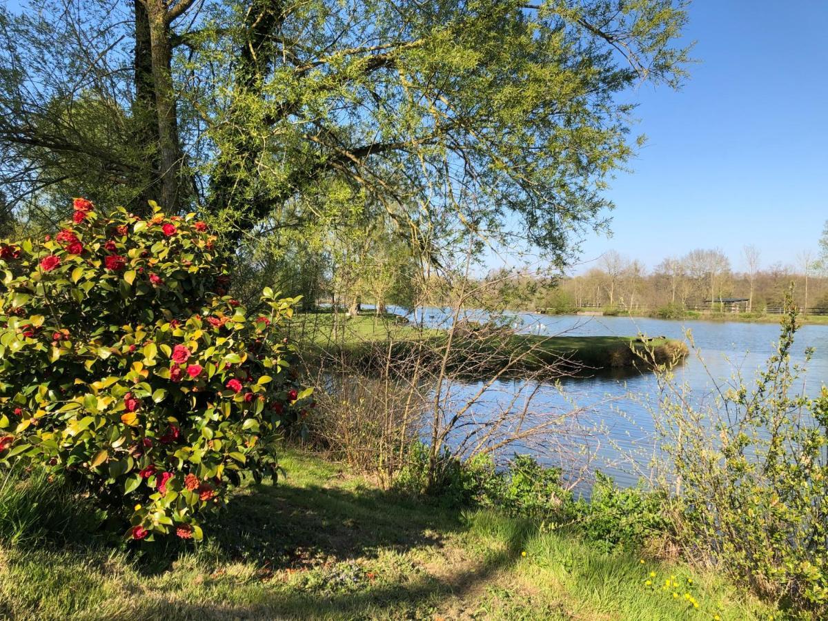 مبيت وإفطار Loigné-sur-Mayenne La Francoisiere المظهر الخارجي الصورة
