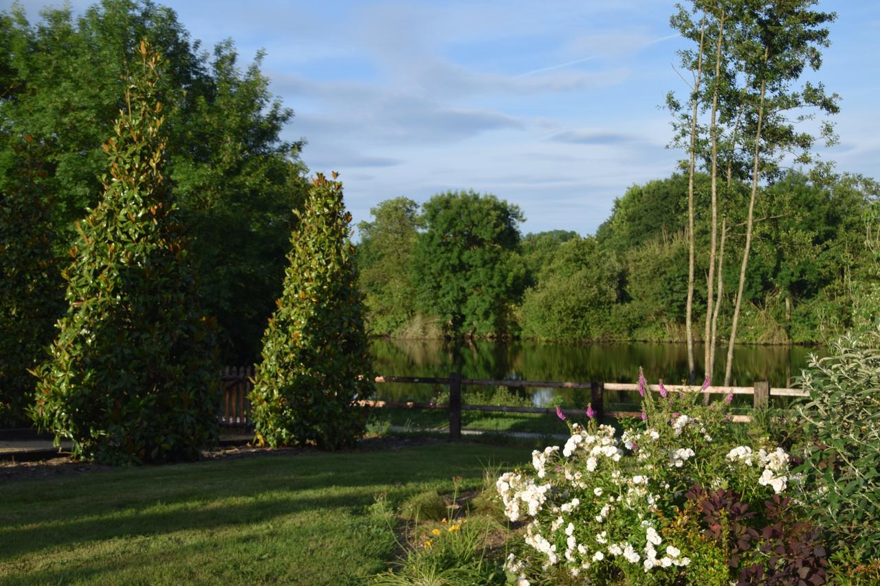 مبيت وإفطار Loigné-sur-Mayenne La Francoisiere المظهر الخارجي الصورة
